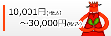 10,001円(税抜)～30,000円(税抜)